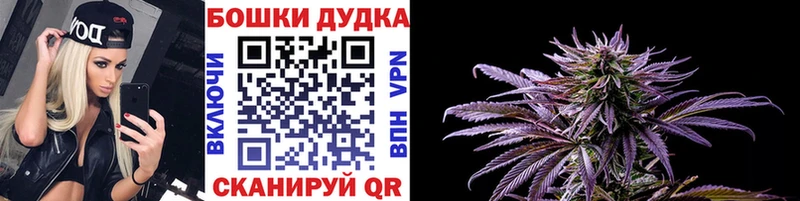 Купить  Гусев  Канабис планчик 